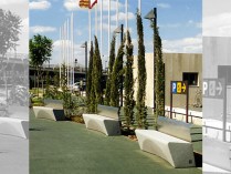 Pedrís